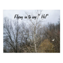 FLYGA IN TILL NÅGOT ATT SÄGA HI! vykort