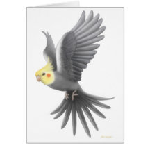 FlygCockatielkort