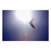 Flygkick Fotografiskt Tryck