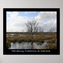 Fochteloërveen Affisch