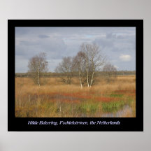 Fochteloërveen Affisch