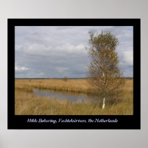 Fochteloërveen Affischer