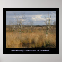 Fochteloërveen Print