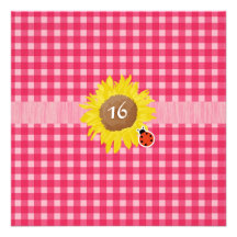 Födelsedag för sweet sixteen för sommarland rolig unika inbjudningar