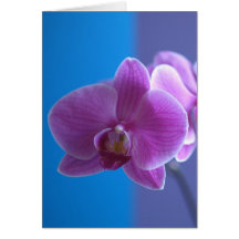 Födelsedagkort för dotter -- Orchid