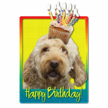 Födelsedagmuffin - GoldenDoodle Photo Cut Outs