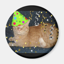 Födelsedagsfestorangetabby katt kylskåps magneter