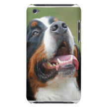 Fodral för Berner Sennenhund hundiTouch Barely There iPod Hud