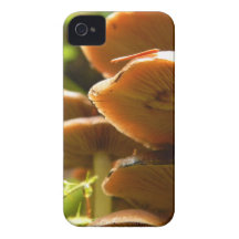 fodral för champinjoniphone 4s iPhone 4 Case-Mate cases
