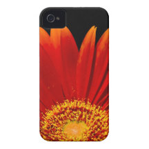 fodral för iPhone 4/4s - Gerberadaisy iPhone 4 Case