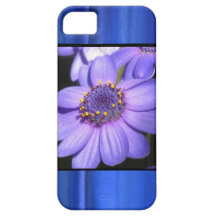 fodral för iPhone 5 - blåttdaisy iPhone 5 Skal