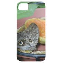 fodral för iPhone 5 - fjäril iPhone 5 Case-Mate Cases