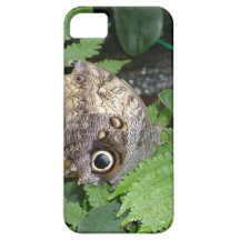 fodral för iPhone 5 - fjäril iPhone 5 Case-Mate Skydd