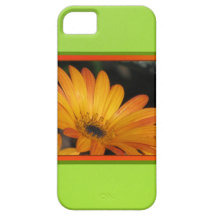 fodral för iPhone 5 - orange daisy iPhone 5 Cover