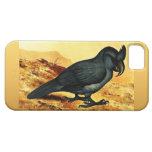 Fodral för Lophopsittacus Mauritianus iPhone 5 iPhone 5 Case-Mate Fodraler