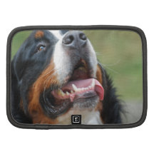 Folio för Berner Sennenhund hundplånbok Personlig Almanackor