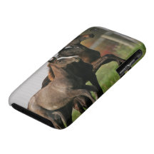 Fölspring iPhone 3 Case-Mate Cases