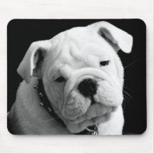 För bulldoggvalp för kärlek engelskt foto Mousepad Mus Matta