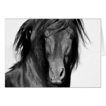För hästhälsning för El Caballo neger- kort