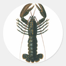 För havliv för vintage marin- skaldjur, hummer runda klistermärken