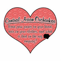 För Ovcharka för central asiatisk humor för hund t Photo Cutouts