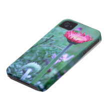 För stativ daisy ut Case-Mate iPhone 4 fodral