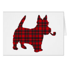 För TerrierTartan för Scottie Scots hund Hälsningskort