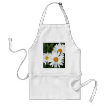 Förkläde för Shasta daisy