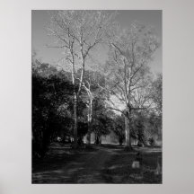 Förmyndare Print