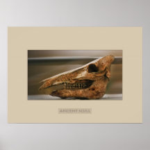 Forntida scull affischer