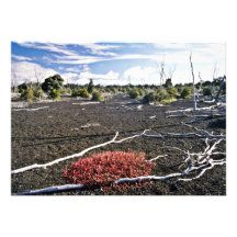 Förödelseområde - Kiluaea krater, Hawaii Personliga Inbjudan