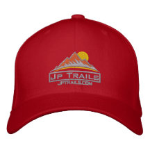 Försilvra logoen hatt