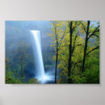 Försilvra nedgångar delstatsparken, Oregon Print