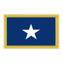 Första Texas Cofederate för Bonnie blåttflagga vol Konstfoto