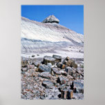 Förstenad skog - ökennationalpark affisch