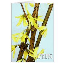 Forsythiavår Hälsningskort