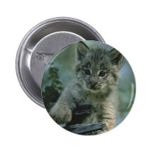 Förtjusande babylodjur pins