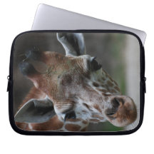 Förtjusande giraffanteckningsboksleeve laptop datorfodral
