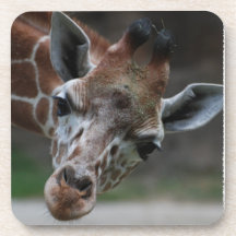 Förtjusande giraffkorkunderlägg