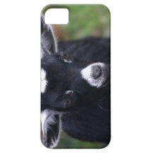 Förtjusande ungeget iPhone 5 Case-Mate fodral