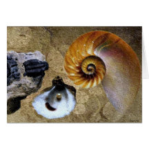 Fossil- kort