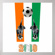 Fotboll 2010 för elfenbenkustenCote D'Ivoore fotbo Affisch