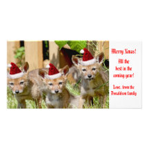 Foto för julbabyprärievarg skräddarsydda fotokort