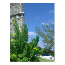 Foto Nassau, Bahamas Vykort