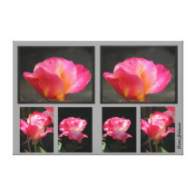 Foto på kanfas - rosa ros sträckt canvastryck