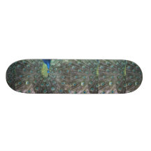 Fotograferar den male oavkortade fläkten för påfåg skate deck