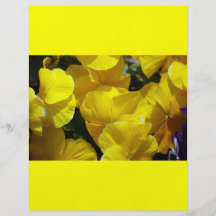 FOTOGRAFERAR GULA BLOMMOR för PANSIES Yellow-petal Flyg Blad