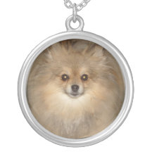 Fotohalsband