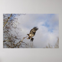 "Fototryck för LANDNINGEN" Print