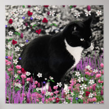Fräknar i blommor II - smokingkattunge Affischer